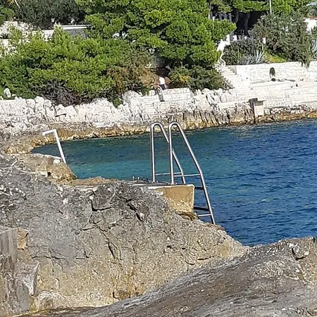 Lizzi. טרוגיר