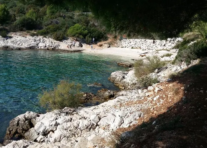 Lizzi. Διαμέρισμα